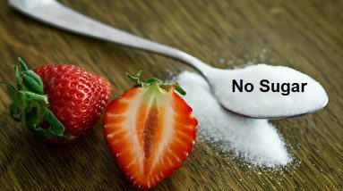 no sugar no carb diet